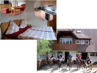 Bauernhof Oberwolfach Reiter- und Ferienhof Landeckhof Bild 2